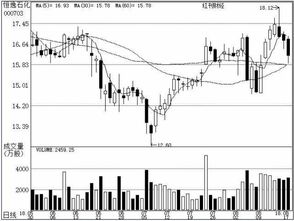 8月19日機構聚焦 基礎軟件服務賽道，誰主沉?。?></a></div>
<div   id=
